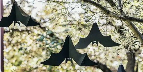 Как украсить дом летучими мышами на Хэллоуин