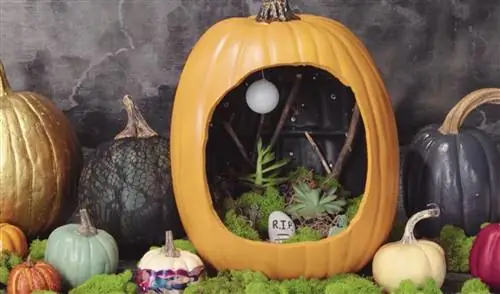 украшение на хэллоуин тыквами