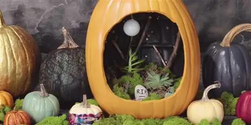 Создать кладбище внутри тыквы?