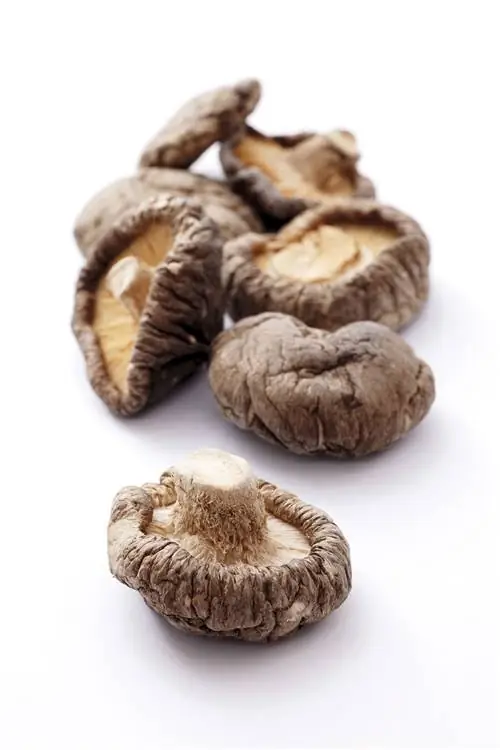 обезвоживать грибы