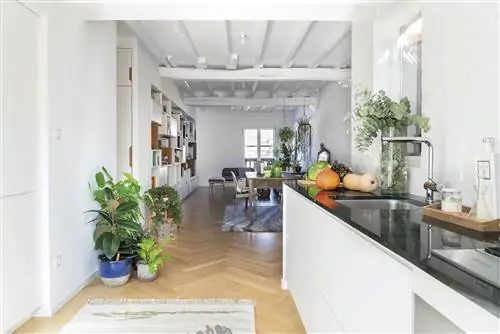 квартира в бильбао комнатные растения