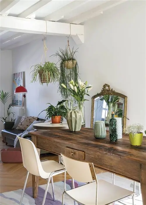 квартира в бильбао столовая с растениями