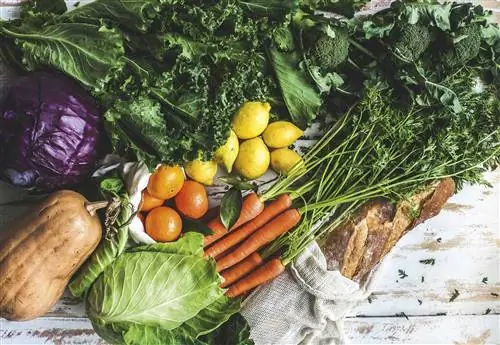 овощи и фрукты, богатые витамином А