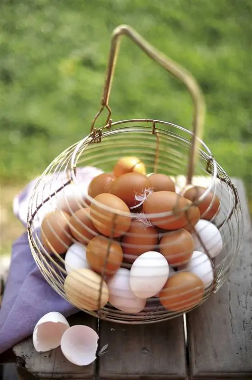 корзина для яиц
