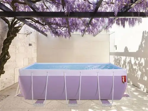 Фиолетовый, Фиолетовый, Сиреневый, Стена, Стол, Мебель, Архитектура, Комната, Дизайн интерьера, Материальная собственность,