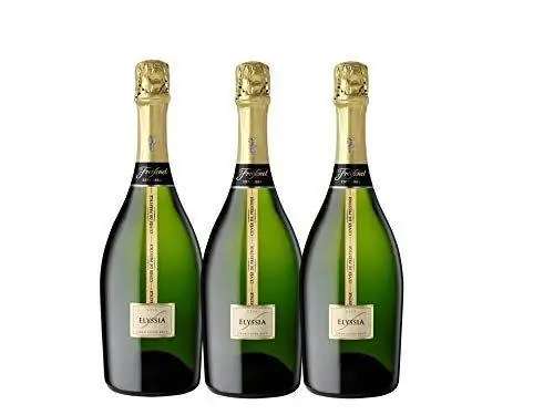 Freixenet Elyssia Gran Cuvee Brut Пакет из 3 бутылок