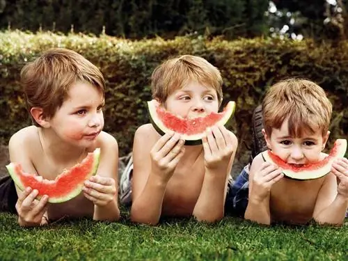 дети едят арбуз
