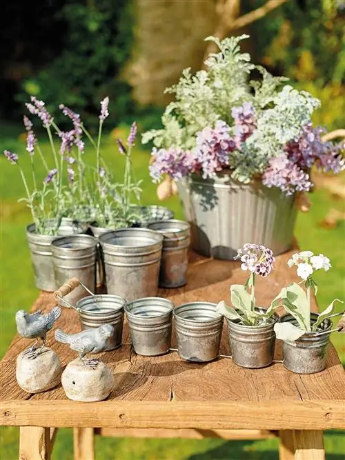 кувшин каменщика, лаванда, цветочный горшок, цветок, растение, весна, полевой цветок, сад, стол, натюрморт,