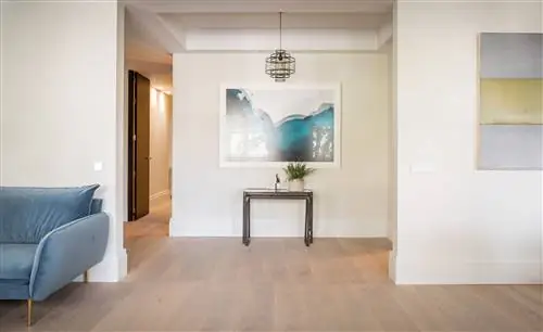 прихожая в современном дизайне украшена абстрактной фотографией