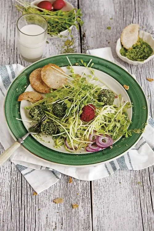 салат с кабачками и овощными шариками