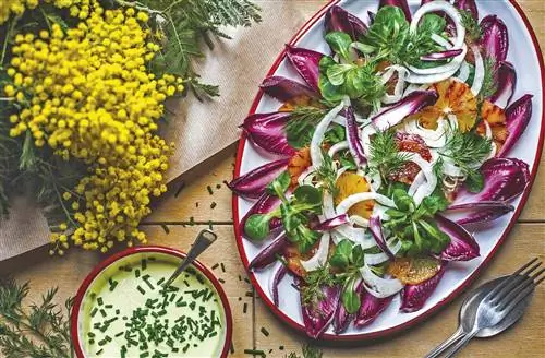 Салат из красного цикория и салата из ягненка с апельсином