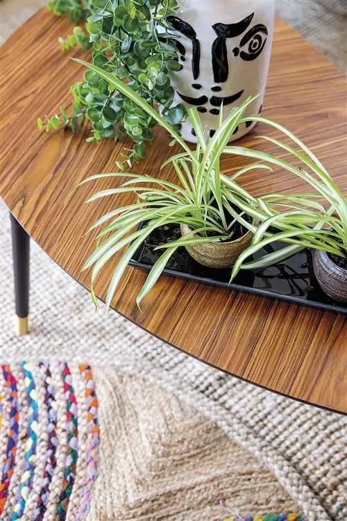 дом модульный дом журнальные столики в стиле середины века