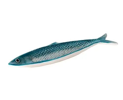 Рыба, Рыба, Сельдь, Жирная рыба, Кормовая рыба, Сардина, Рыбные продукты, Молочная рыба, Рыба с лучистыми плавниками, Костистая рыба,