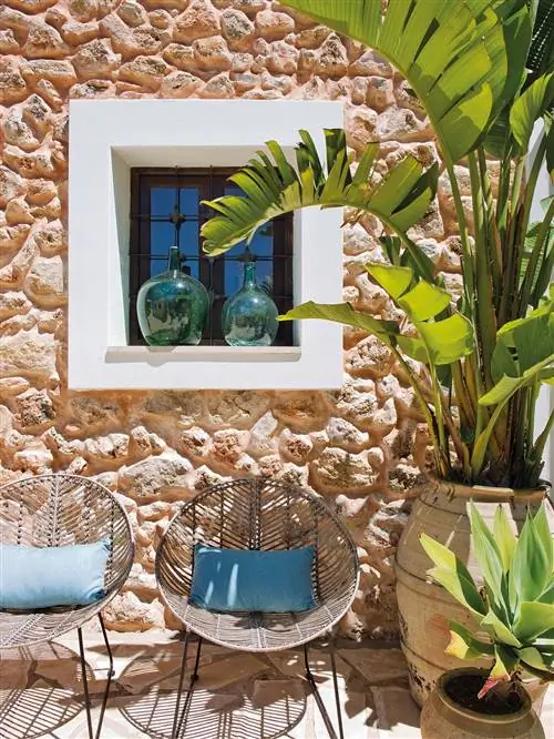 Недвижимость, Бирюза, Мажорель синий, Комната, Дизайн интерьера, Недвижимость, Ботаника, Растение, Комнатное растение, Главная,