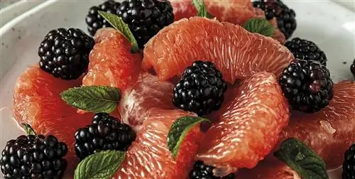 Блюдо дня: Вкусный и полезный салат из грейпфрута и ежевики, полный витаминов