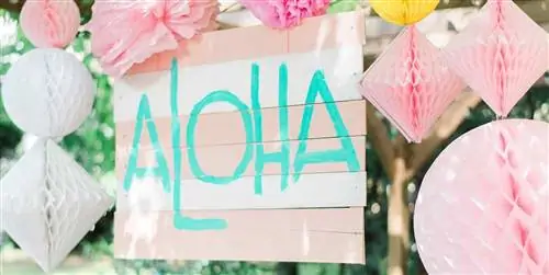 Если вы хотите стать незабываемым ведущим, не упустите планы, рекомендованные социальной сетью