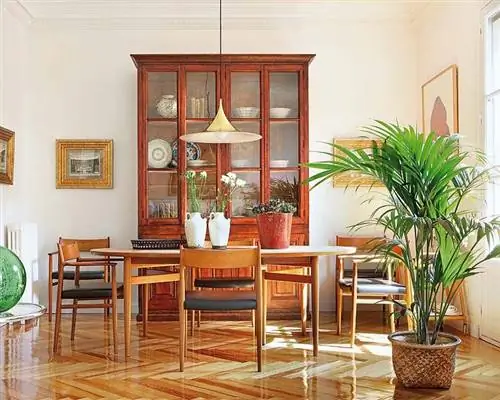 Дерево, Цветочный горшок, Дизайн интерьера, Комната, Пол, Пол, Лиственная древесина, Стол, Дизайн интерьера, Морилка,