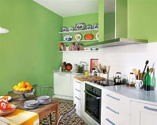 Зеленый, Комната, Дизайн интерьера, Крупная бытовая техника, Дом, Кухня, Краснодеревщик, Бытовая техника, Потолок, Дом,