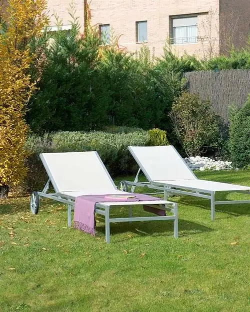 Кустарник, Мебель, Лист, Сад, Мебель для улицы, Жилой район, Почвопокровное, Задний двор, Двор, Газон,