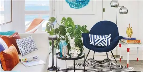 Красивая квартира на берегу моря