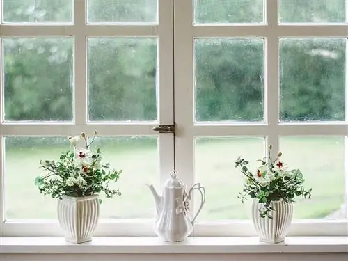 Окно, Дизайн интерьера, Комната, Растение, Обработка окон, Стекло, Цветочный горшок, Архитектура, Комнатное растение, Занавес,