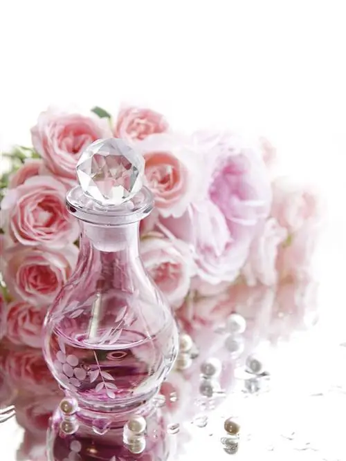 Розовый, Цветок, Роза, Лепесток, Натюрморт, Натюрморт фотография, Садовые розы, Растение, Пион, Стекло,