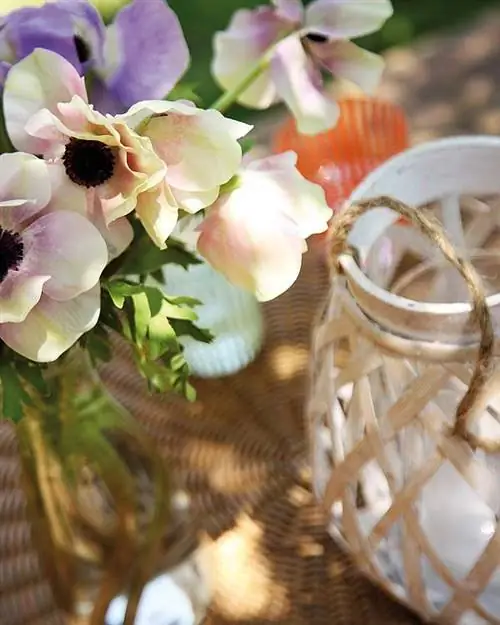 Лепесток, цветок, цветущее растение, насекомое, природный материал, беспозвоночное, фотография натюрморта, кольцо, срезанные цветы, поставка свадебной церемонии,