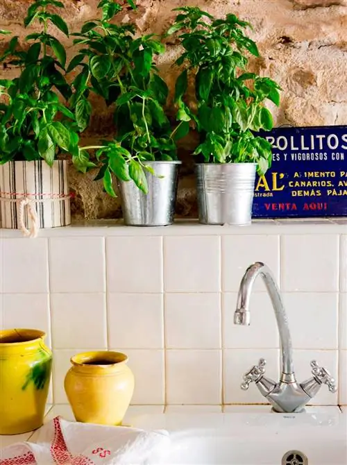 Сантехника, Недвижимость, Стена, Кран, Раковина, Сантехника, Керамика, Вазон, Раковина, Аксессуары для ванной,