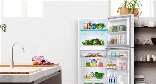 Цветочный горшок, Морозильник, Стеллаж, Жидкость, Крупная бытовая техника, Полка, Холодильник, Кухонный прибор, Бутылка, Персик,