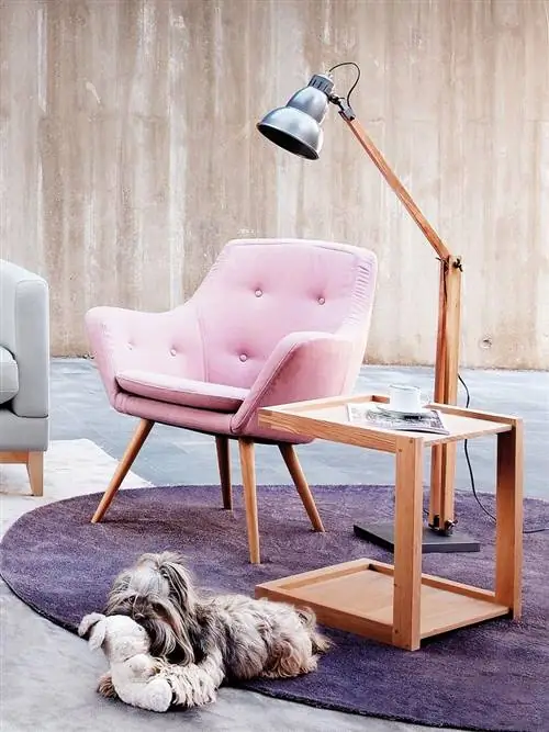 Дерево, Мебель, Комната, Стул, Лиственных пород, Натюрморт фотография, Подлокотник, Собака-компаньон, Природный материал, Клубный стул,