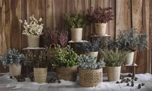 как украсить улицу к рождеству