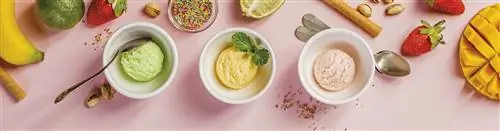 домашнее мороженое