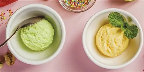 Советы по приготовлению вкусного домашнего мороженого