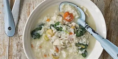 Блюдо дня: Сливочный куриный суп с рисом. Легко, быстро и богато, богато