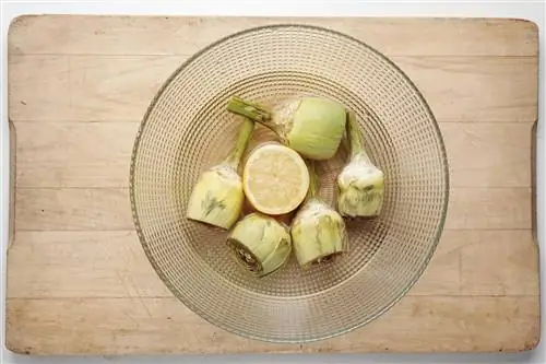 Римские артишоки 1