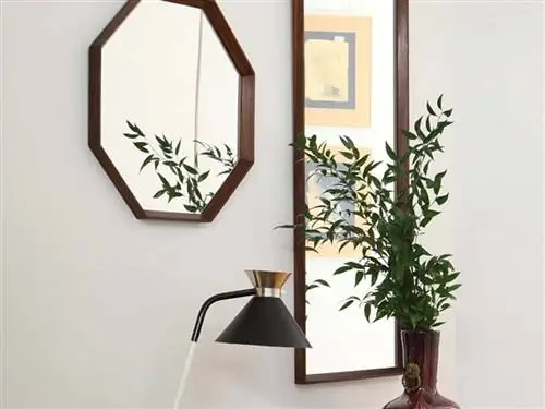 Цветочный горшок, Лист, Дизайн интерьера, Ботаника, Фоторамка, Стебель растения, Комнатное растение, Ваза, Искусство, Натюрморт фотография,