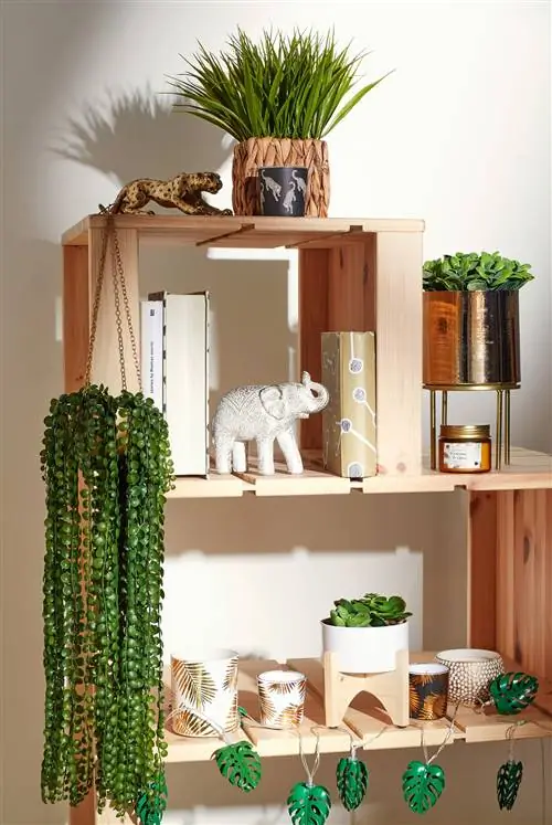 Коллекция Primark Home Осень Зима 2019