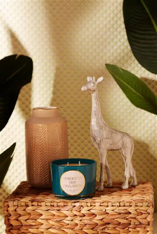 Коллекция Primark Home Осень Зима 2019