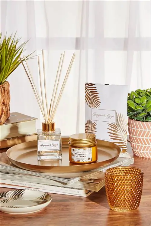 Коллекция Primark Home Осень Зима 2019
