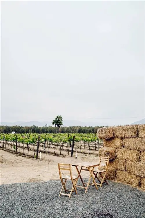 Отель Bubble в Валье-де-Гуадалупе