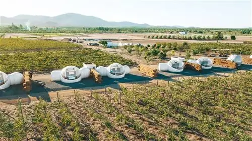 Отель Bubble в Валье-де-Гуадалупе