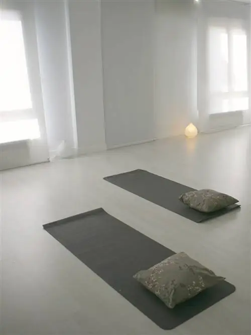 Этаж, Пол, Комната, Дизайн интерьера, Серый, Прямоугольник, Дневное освещение, Светильник, Аксессуары для дома, Прозрачный материал,