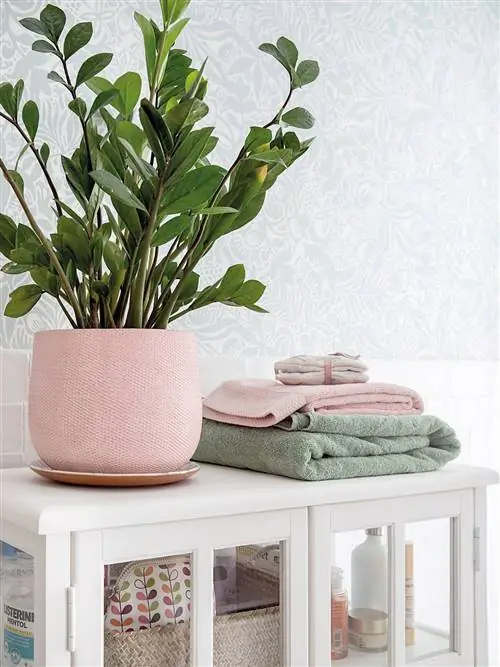 современная ванная комната в бело-серых тонах с растениями