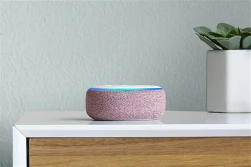 Alexa эхо-точка устройство