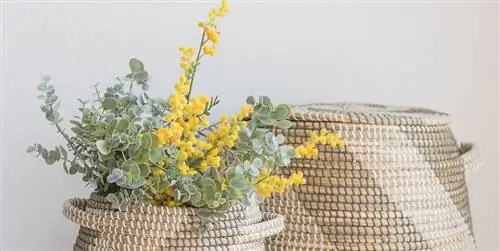 Аппликации, аксессуары, дополнения Ваша ванная нуждается в питательных веществах