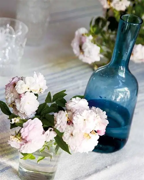 Синий, Лепесток, Цветок, Бутылка, Букет, Стеклянная бутылка, Стекло, Питьевая посуда, Срезанные цветы, Бирюзовый,