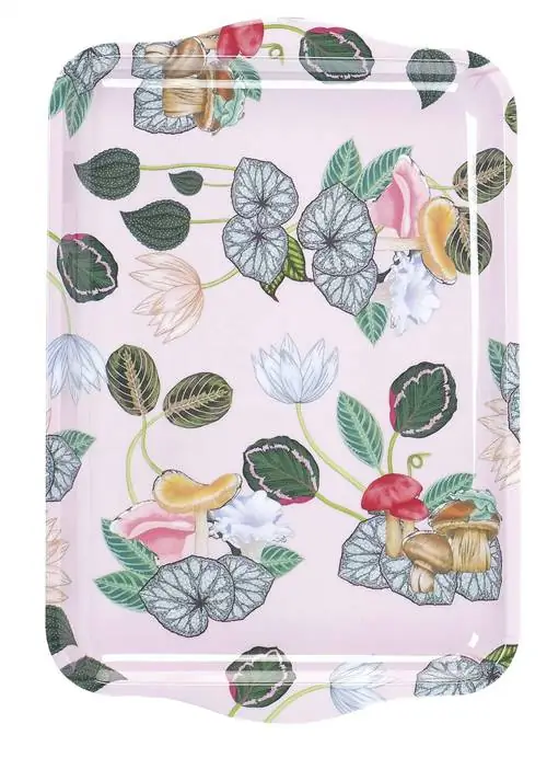 Домашнее хозяйство: поднос для цветов