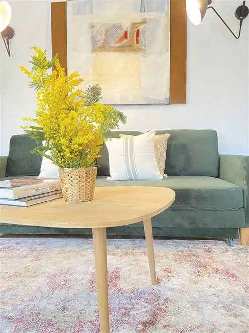 Пентхаус в Мадриде с гостиной с террасой и зеленым диваном