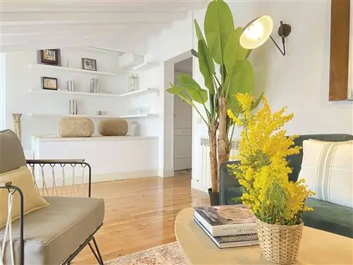 Пентхаус в Мадриде с мансардной террасой, гостиной со встроенными стеллажами