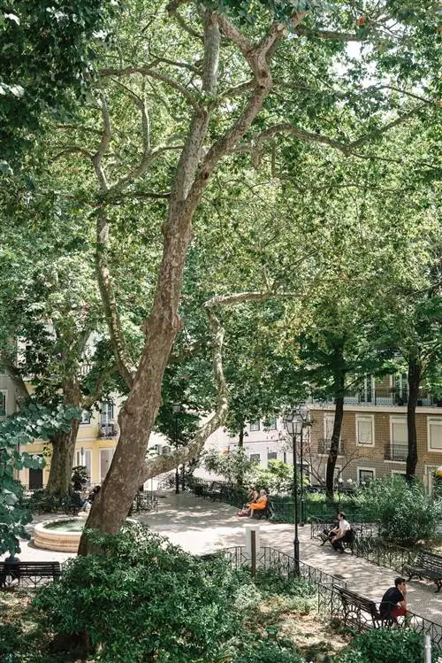 Квартира в Лиссабоне с ремонтом от Arkstudio